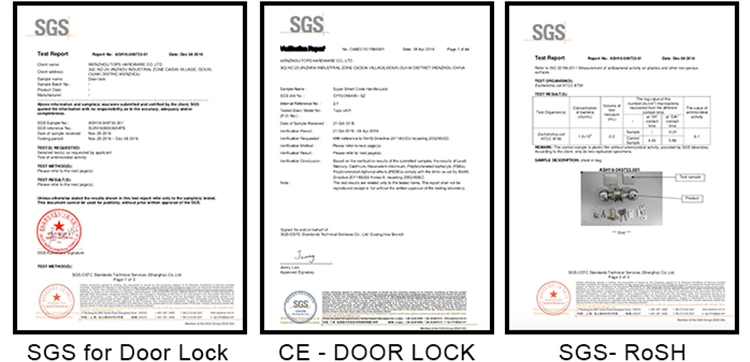 Sample Available Heavy Duty Anti-Shear Security Long Shackle Stainless Steel Master Key Padlock