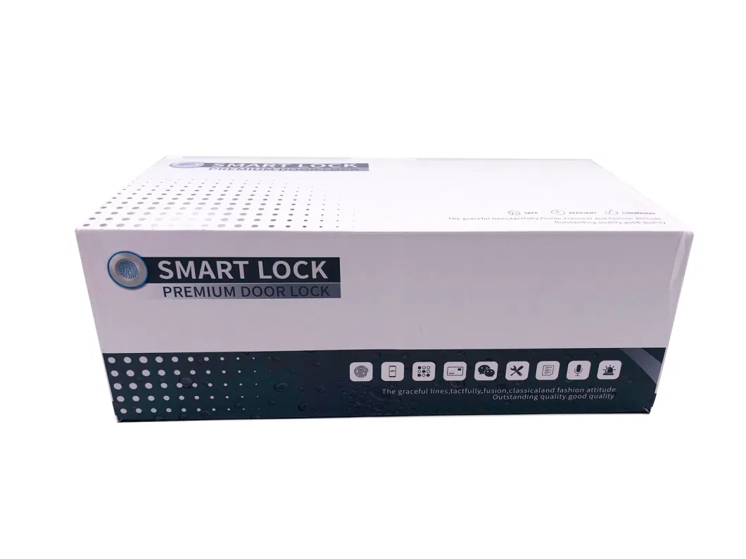 Ttlock Smart Lock Door Biometric Digital Electronic Fingerprint Lock Smart Home Security