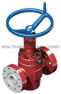 API6a Hydraulic Gate Valve with Manual Locking