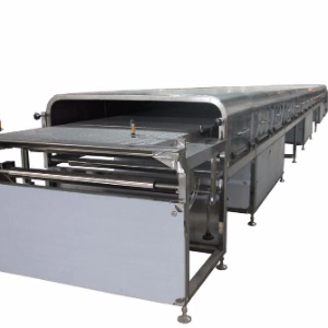 Belt Conveyors Professional Customized Incline Angle Conveyor/DIP Efficiently Transport Materials in Various Industries