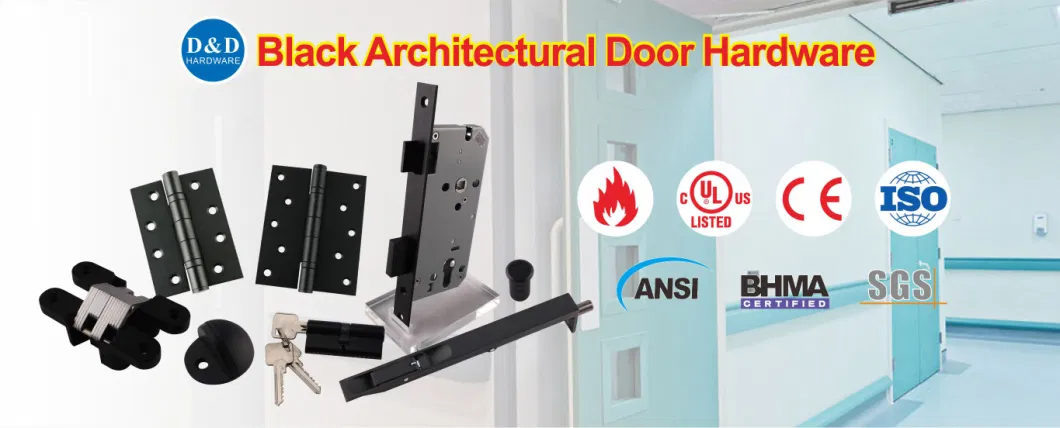 BS En12209 Stainless Steel 304 Black CE Euro Security Fire Resistance Master Key Cylinder Lock Construction Ironmongery Mortise Door Lock