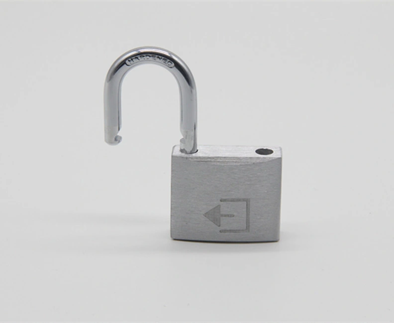 Hardened Steel Shackle Iron Pad Lock 15mm / 20mm / 25mm / 30mm Security Key Master Lock Iron Padlock