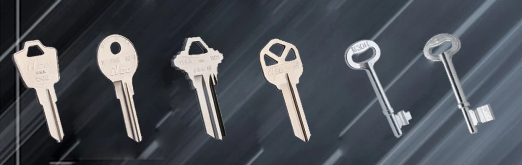 Blank Keys Used for Padlock with Different Logos on Surface