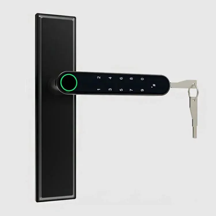 Fingerprint Password Number Electric Door Lock