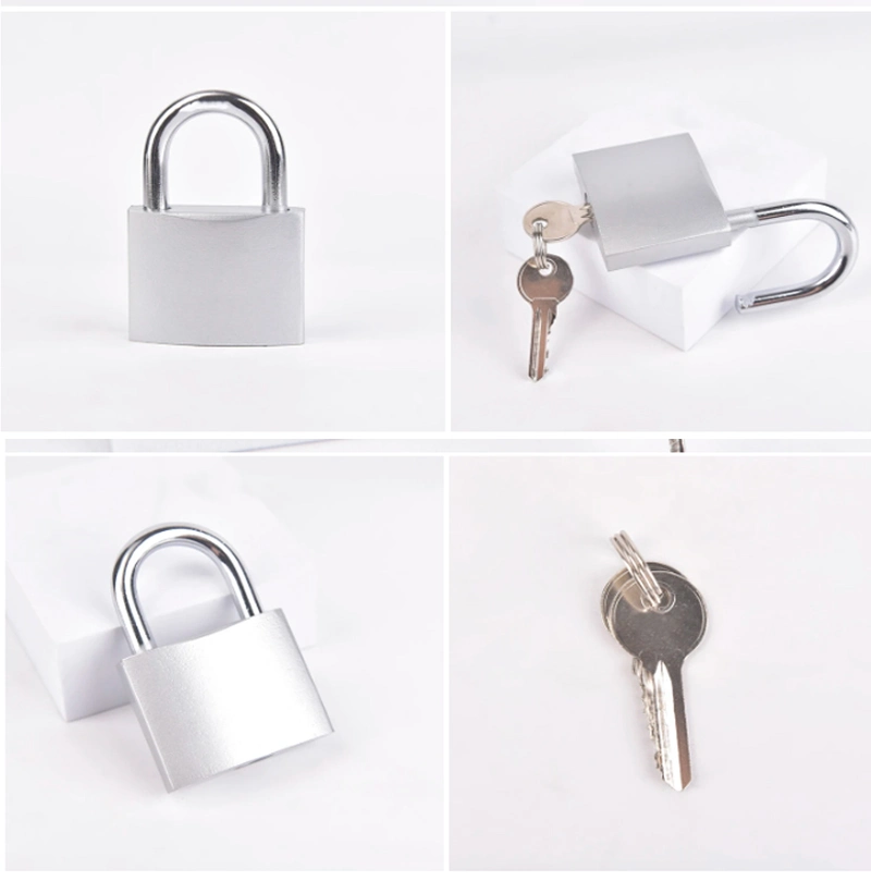 Custom Colorful Solid Aluminum Safety Padlocks with Master Key for Industrial Lockout-Tagout