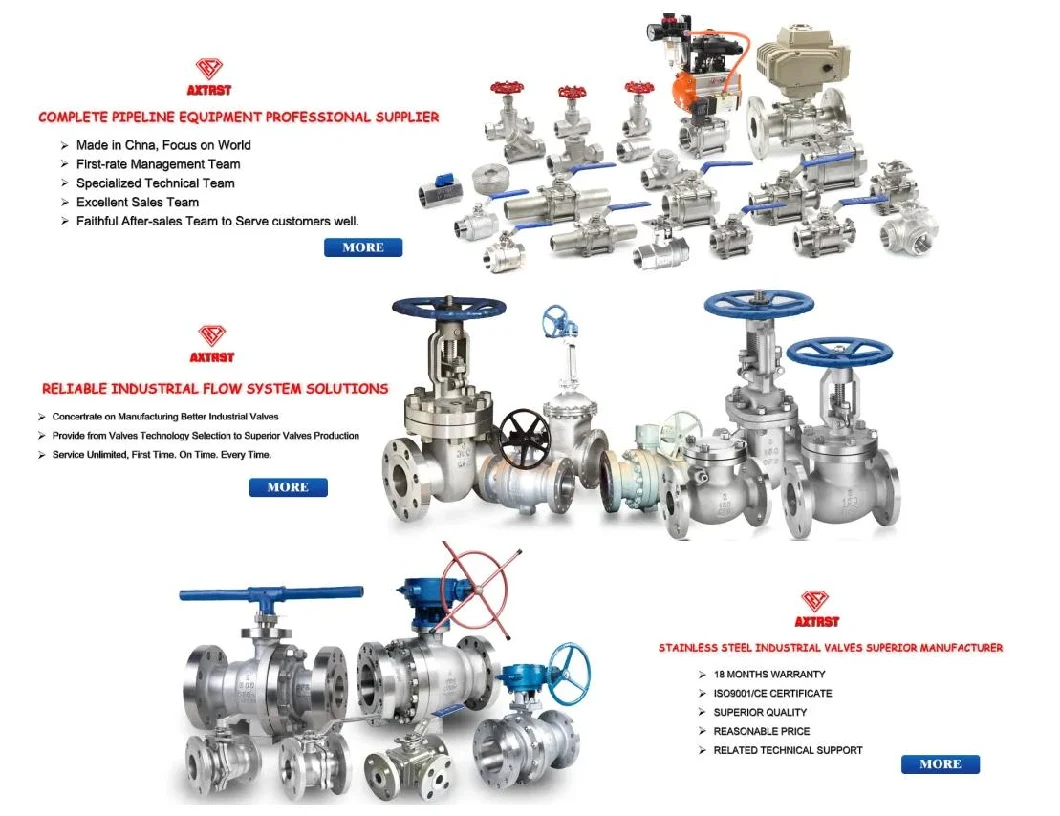 1PC NPT/BSPT/Bsp Threaded Stainless Steel Ball Valve with Lock