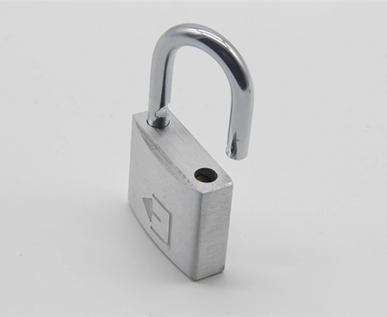 Hardened Steel Shackle Iron Pad Lock 15mm / 20mm / 25mm / 30mm Security Key Master Lock Iron Padlock