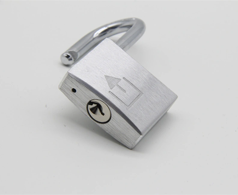 Hardened Steel Shackle Iron Pad Lock 15mm / 20mm / 25mm / 30mm Security Key Master Lock Iron Padlock