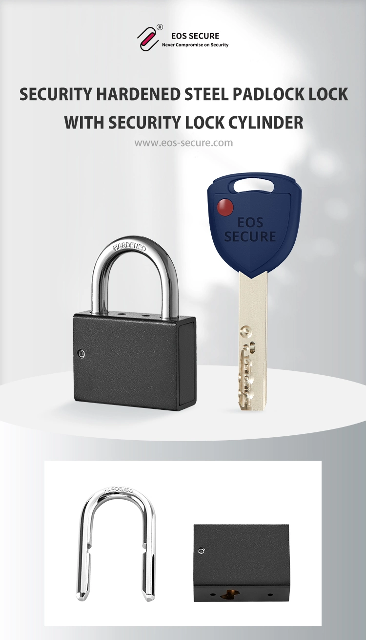 Security Hardened Steel Padlock Lock with Security Lock Cylinder