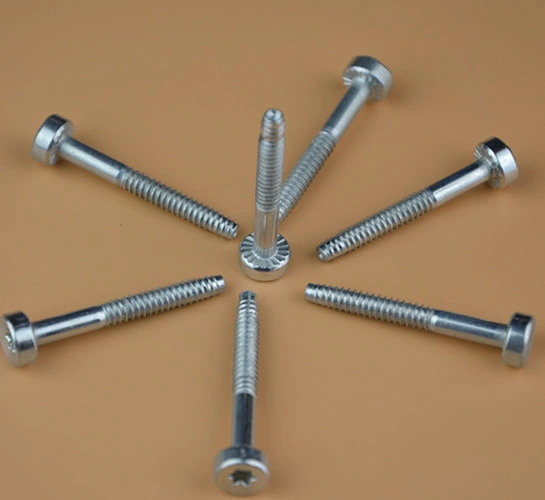 Pin Screw Safety Screw Terminal Cover Screw/Special Bolts