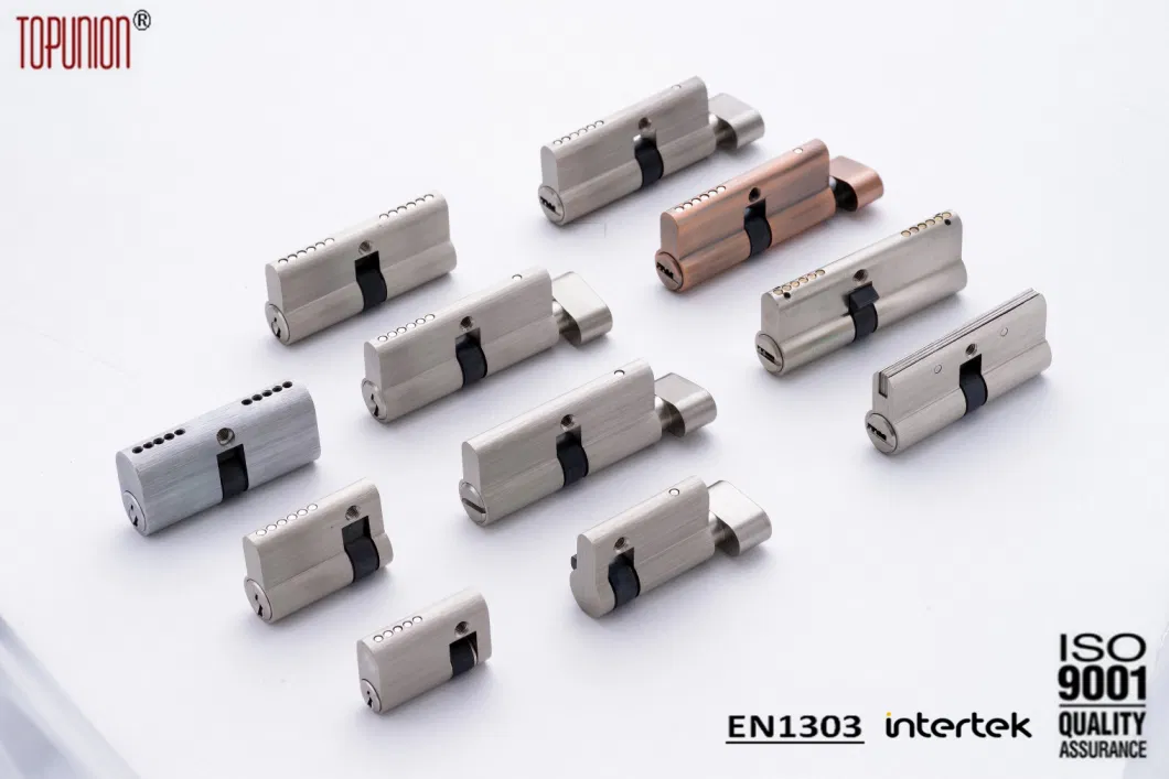 En1303 Master Keyed Alike Mortise Lock Door Lock Cylinder Lock