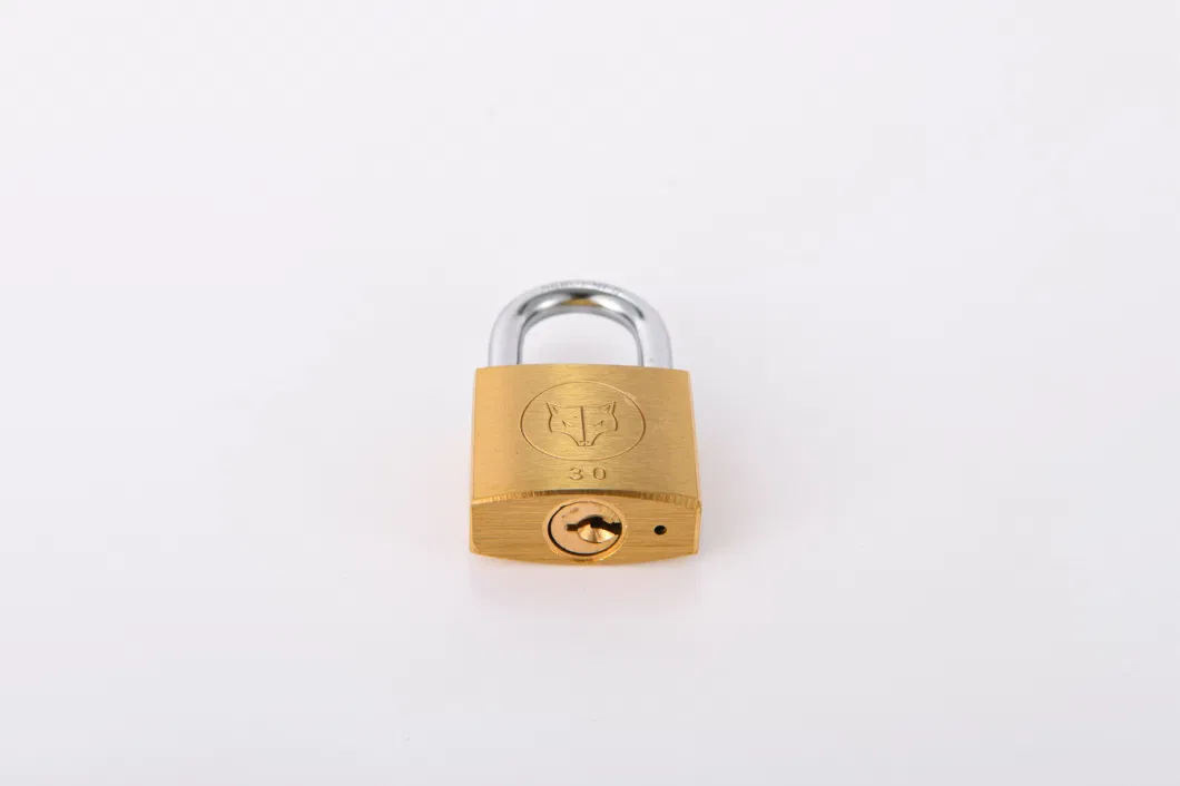 High Quality High Security Thick Brass Padlock (30mm)