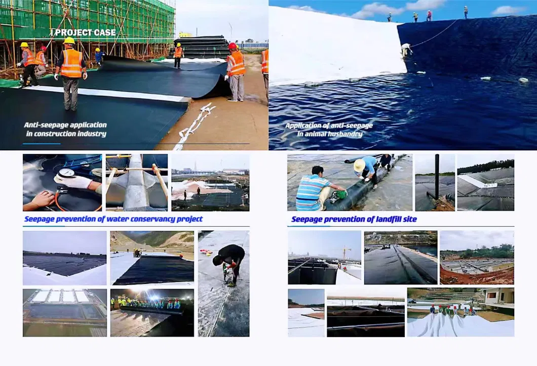 Export 1.0mm1.5mm HDPE Geomembrane Sports Track Root Blocking Isolation Reinforced Lining