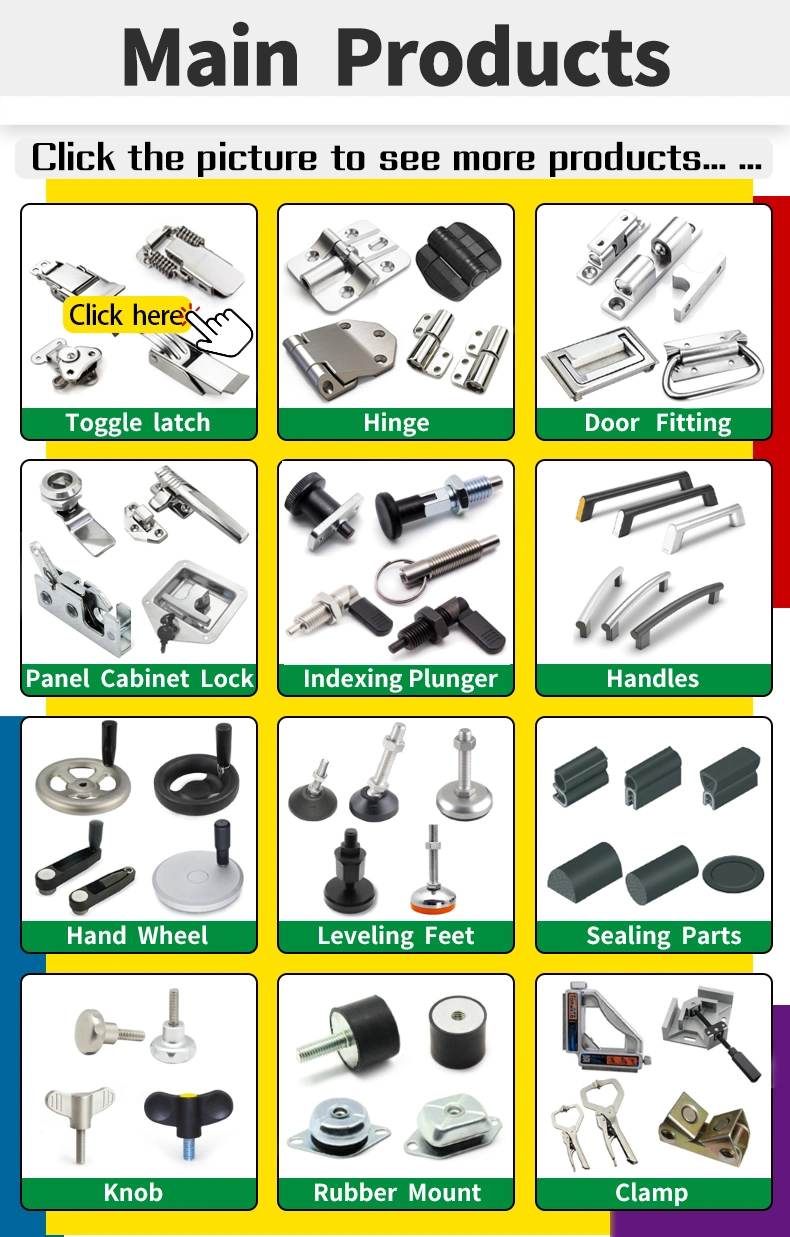 Key Hole Lockable Toggle Latch Padlocks Draw Latch with OEM ODM Service