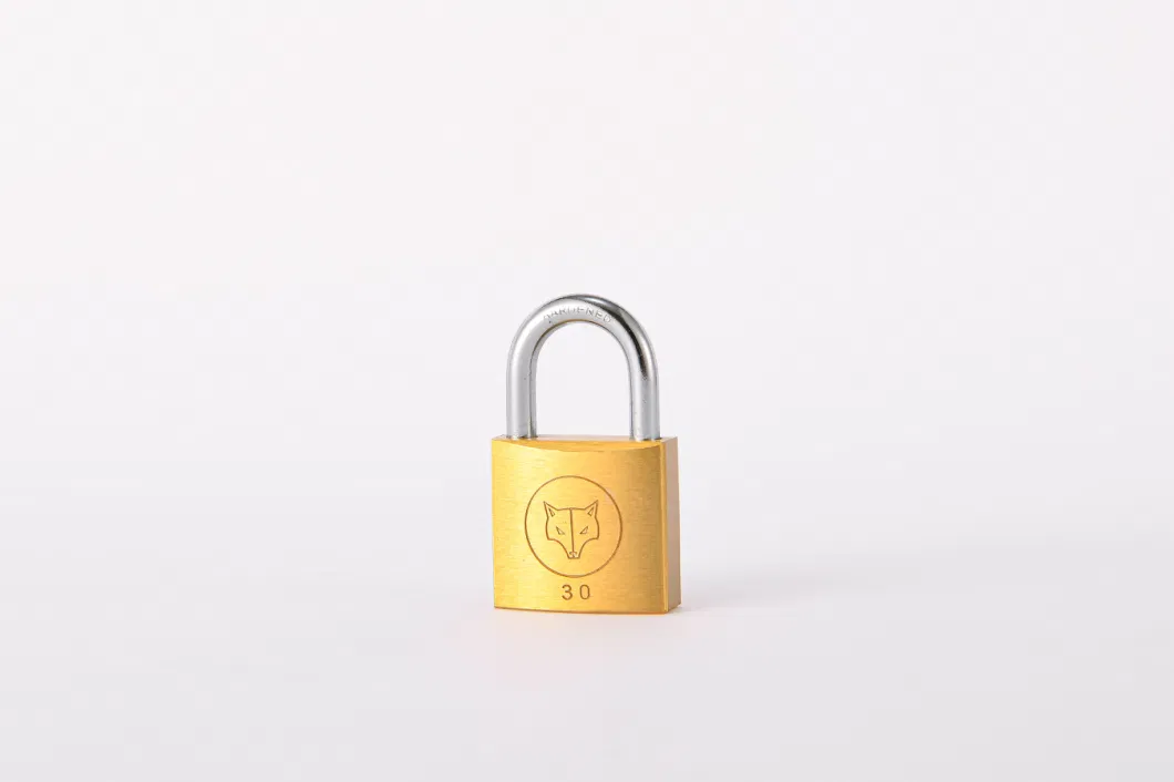 High Quality High Security Thick Brass Padlock (30mm)