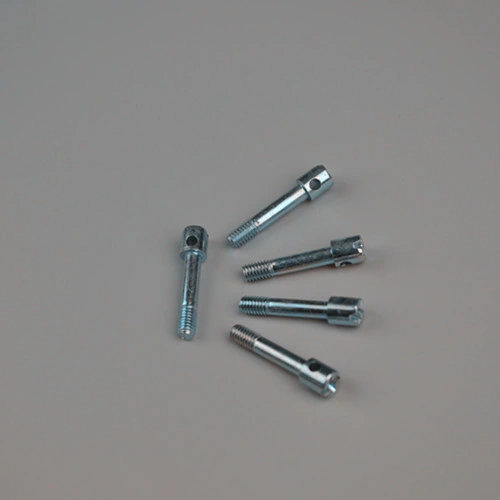 Pin Screw Safety Screw Terminal Cover Screw/Special Bolts