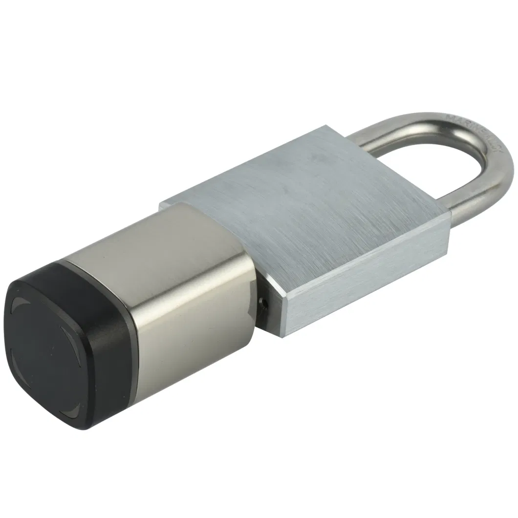 45/27mm High Quality Safe Electronic Padlock