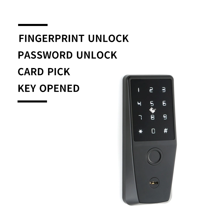 Security Smart Electronic WiFi Biometric Fingerprint Door Deadbolt Lock