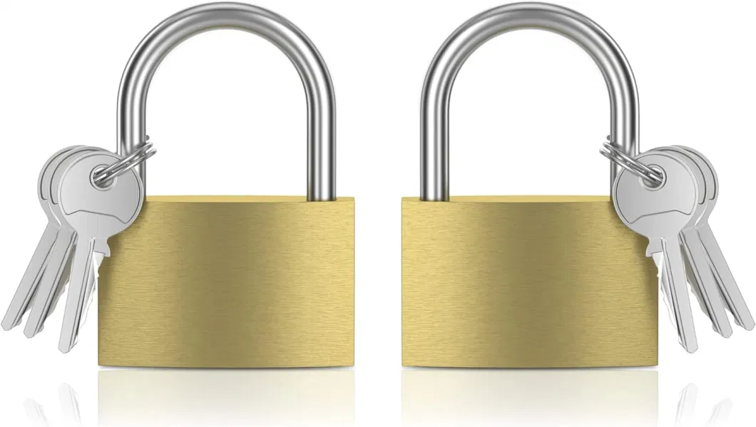 Brass Padlock for Storage Units and Cabinets - 2 PCS