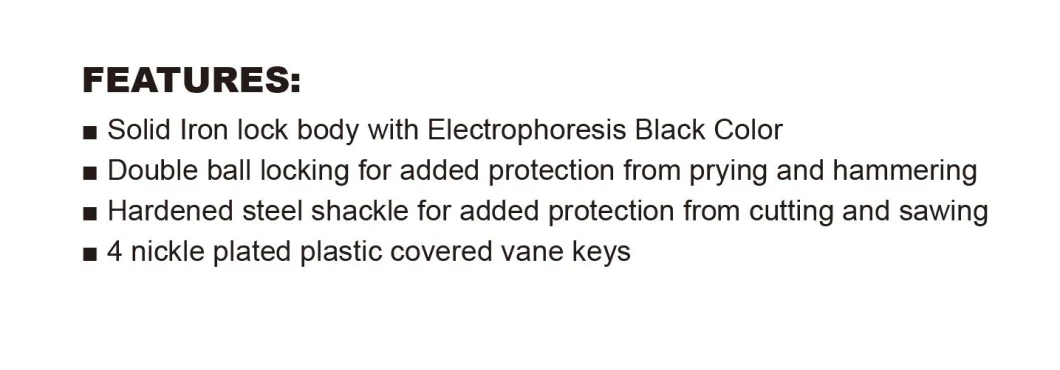 High Security Electrophoresis Black Iron Disc Padlock (123)