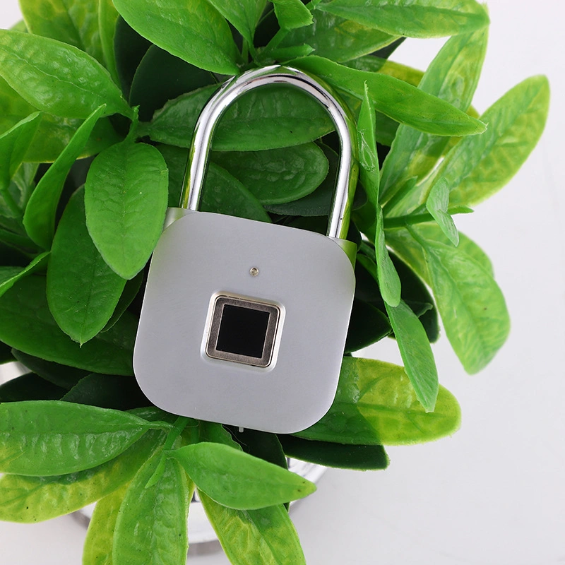 Aluminum Wholesale Fingerprint Padlock Top Security Locks