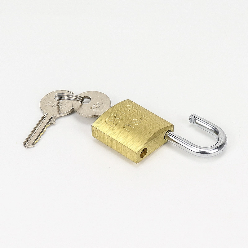 40mm Steel Shackle Safety Brass Padlock with Master Key