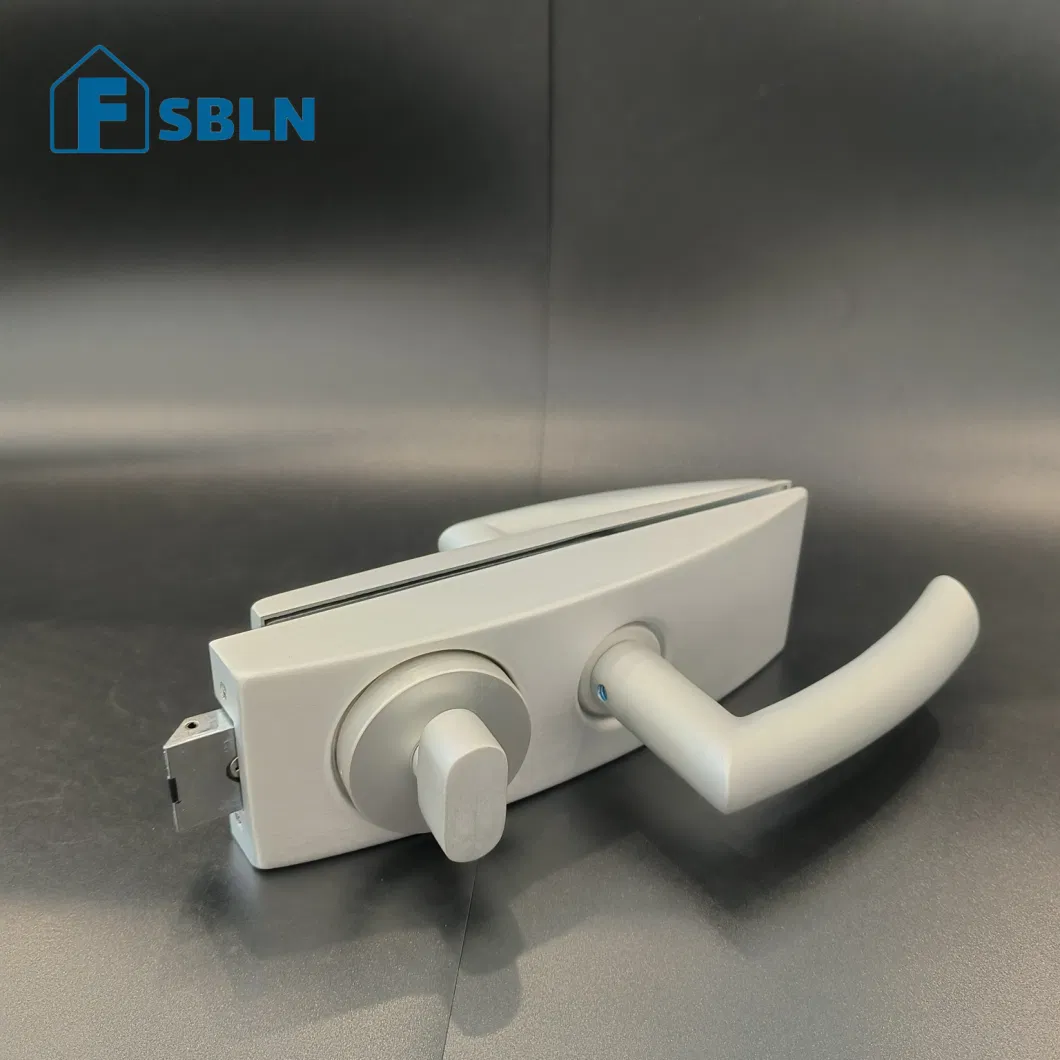 Door Lock Handle for Glass Doors with Non-Locking Feature