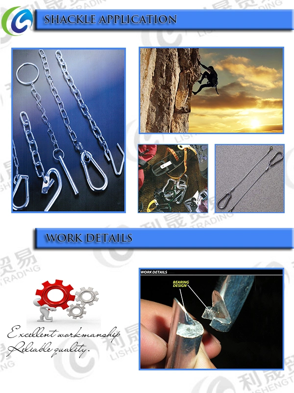 China Manufacturer of Carabiner Iron Screw Lock Snap Hooks