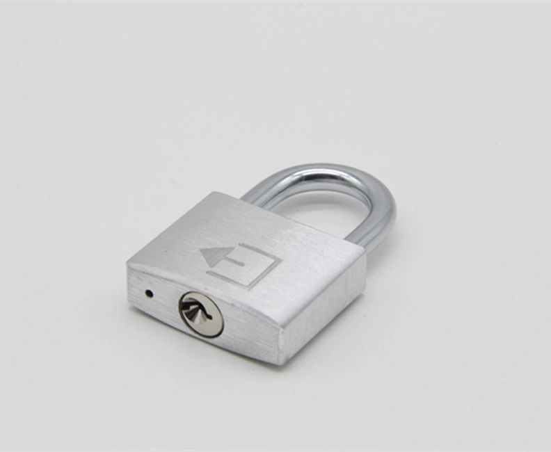 Hardened Steel Shackle Iron Pad Lock 15mm / 20mm / 25mm / 30mm Security Key Master Lock Iron Padlock