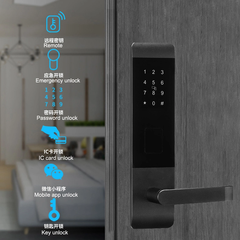 Home Apartment Keyless Smart Main Door Lock