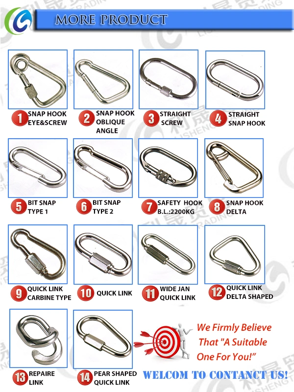 China Manufacturer of Carabiner Iron Screw Lock Snap Hooks