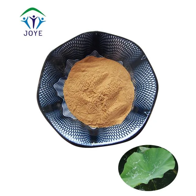 CAS 475-83-2 Lotus Leaf Extract Powder Nuciferin