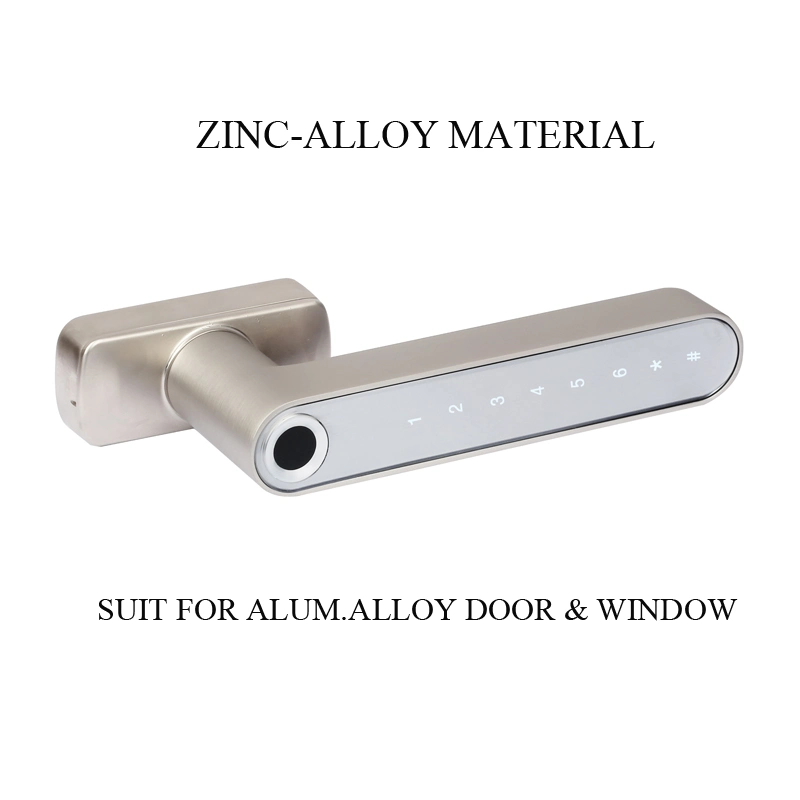 Zinc-Alloy Material Silver Color Fingerprint Password Lock Suit for Alum. Door and Window