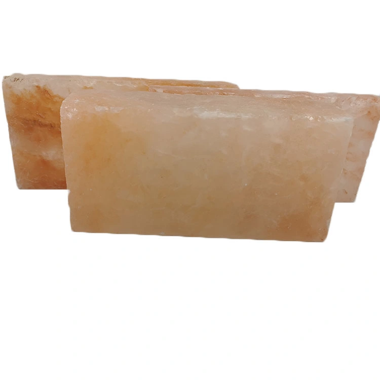 Himalayan Salt Blocks Cooking