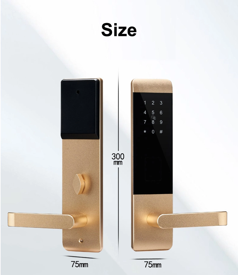 Home Apartment Keyless Smart Main Door Lock