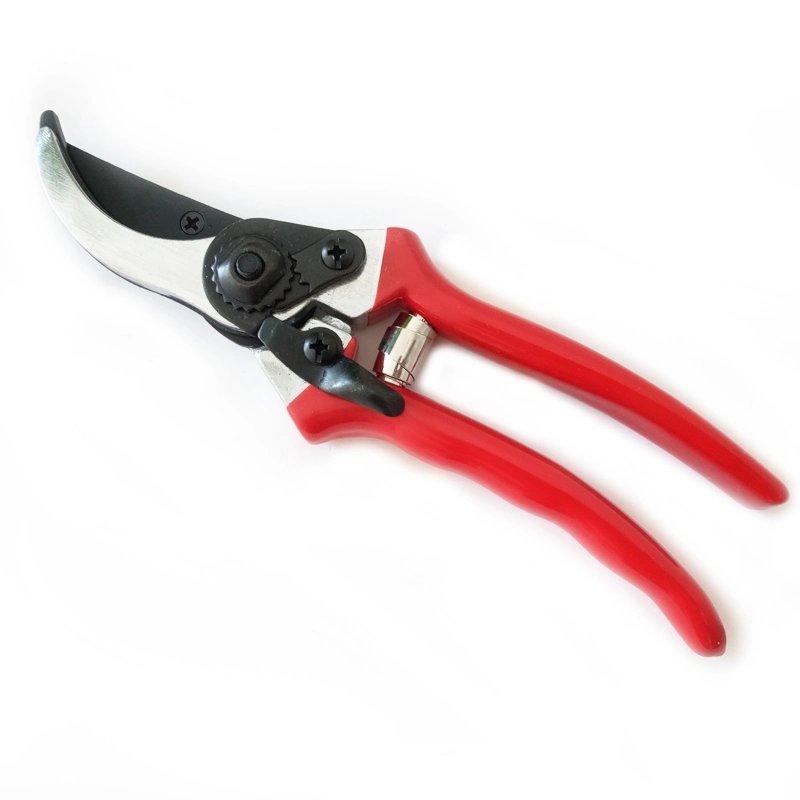 Hand Tools for Garden Pruning - Bypass Shear with Safety Lock