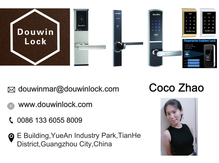 Electronic Outdoor Fingerprint Main Sliding Gate Locks with Voice