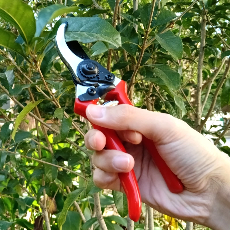 Hand Tools for Garden Pruning - Bypass Shear with Safety Lock