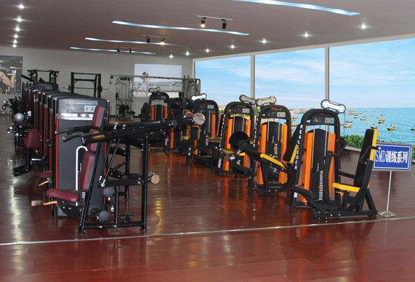 Strength Machine Fitness Equipment Gym /Adjustable Abdominal Bench