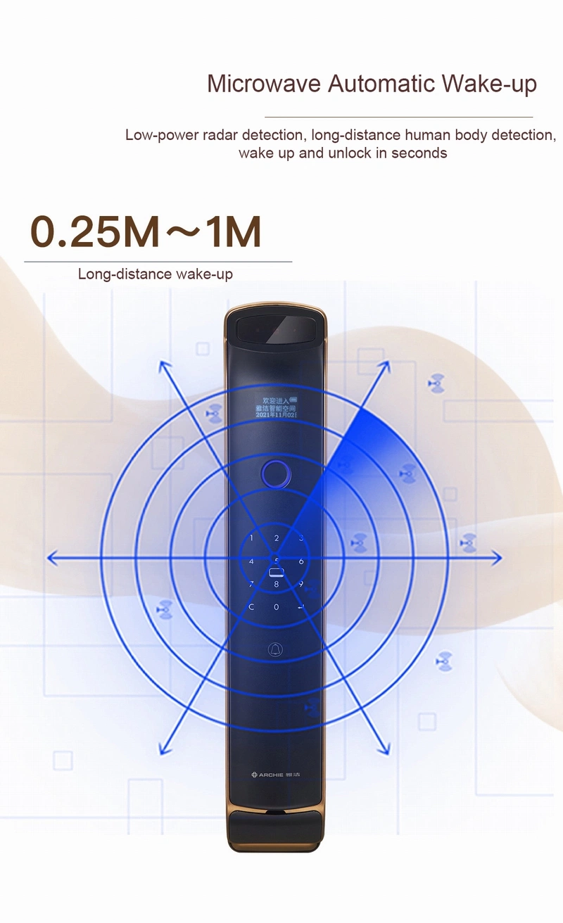 Best Auto WiFi Face Fingerprint RFID Combination Padlock Smart Lock