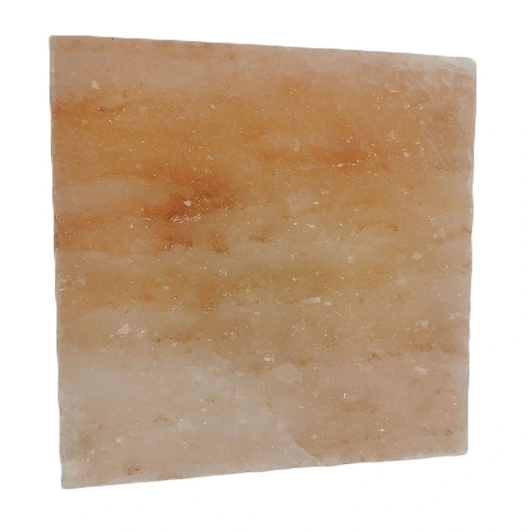 Himalayan Salt Blocks Cooking