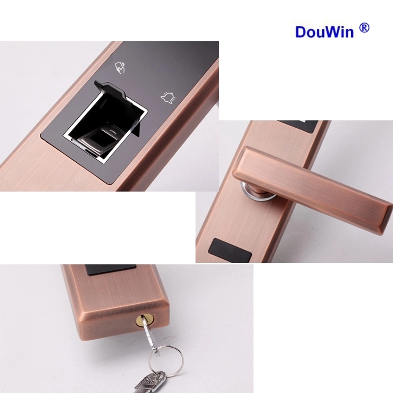 Electronic Outdoor Fingerprint Main Sliding Gate Locks with Voice