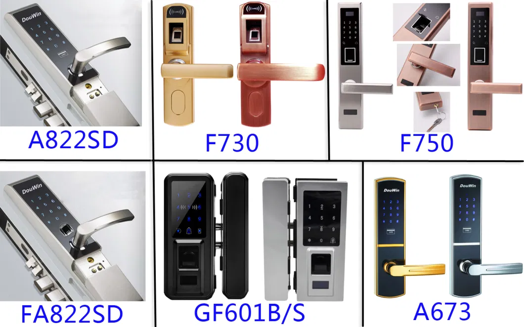 Electronic Outdoor Fingerprint Main Sliding Gate Locks with Voice