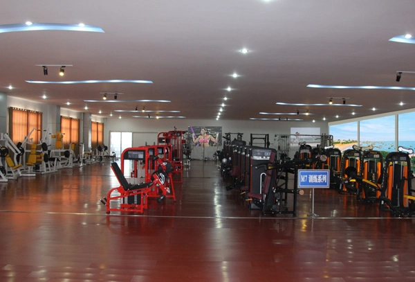 Strength Machine Fitness Equipment Gym /Adjustable Abdominal Bench