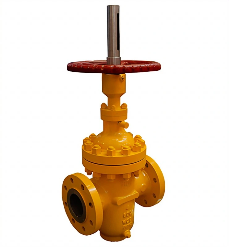 Flat Gate Valve Product Series API 6A Valve Products