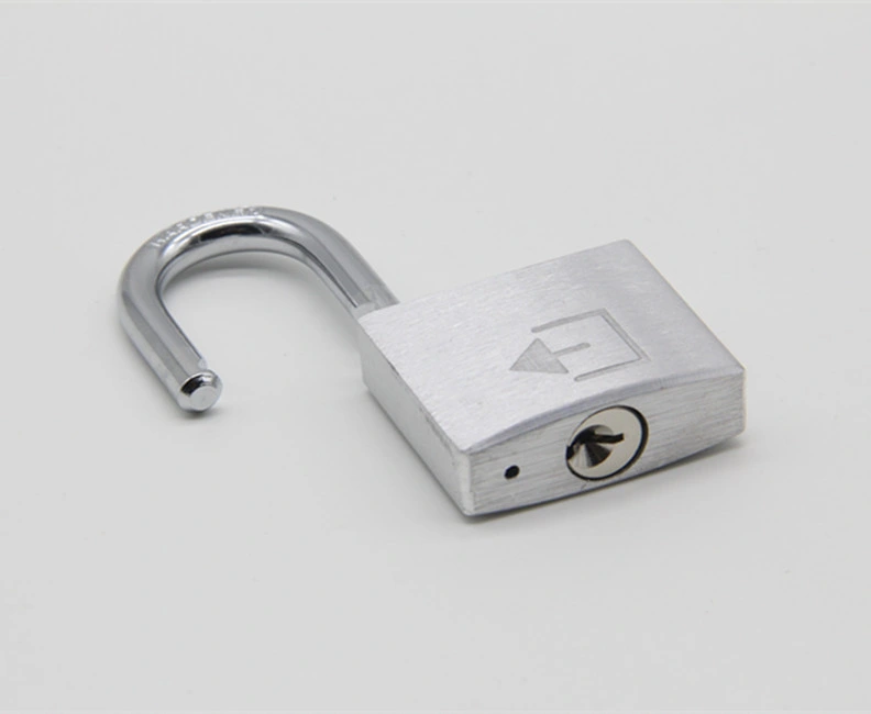 Hardened Steel Shackle Iron Pad Lock 15mm / 20mm / 25mm / 30mm Security Key Master Lock Iron Padlock