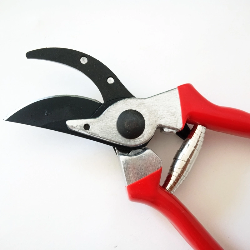 Hand Tools for Garden Pruning - Bypass Shear with Safety Lock