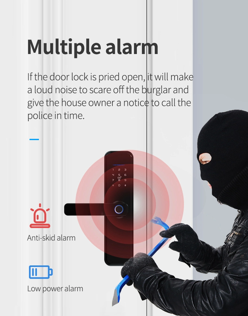 Home Apartment Keyless Smart Main Door Lock