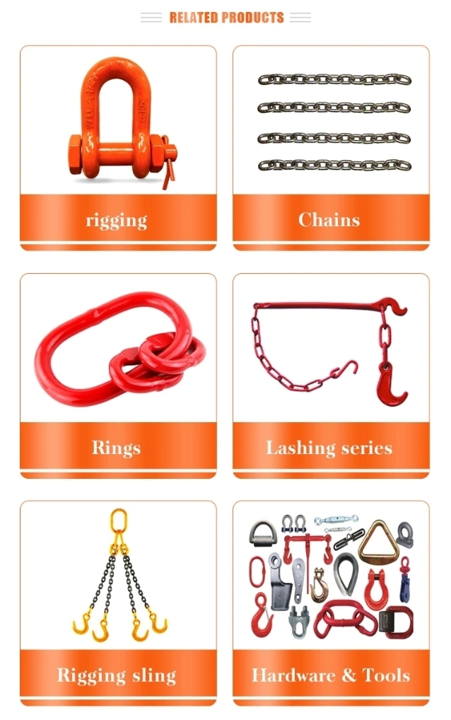 Heavy Duty Forged 320 Type Alloy/Steel Eye Sling Hoist Hook with Safety Latch for Winch Rope