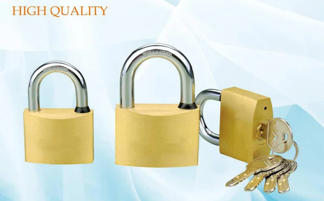 GS0021 Brass Padlock with Computer Key, Top Security Brass Padlock